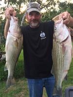 Fish 1b 